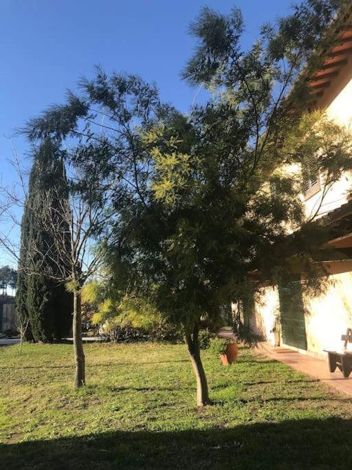 Apartamento Casa Isabelle Canneto  Exterior foto