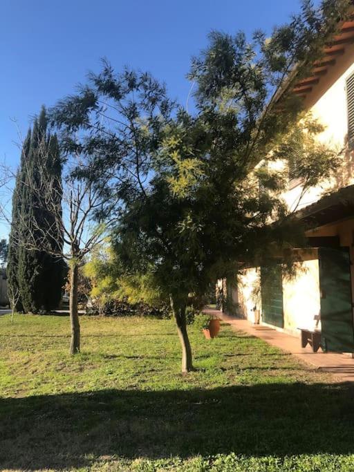Apartamento Casa Isabelle Canneto  Exterior foto